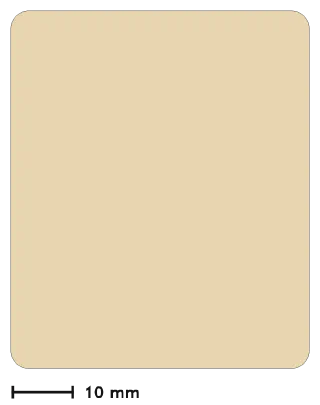 QR plate, back view
