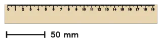 Ruler, front view