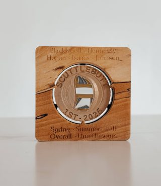 Brass award with coloured epoxy inlay filling the engraved design