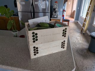 Two produce boxes stacked on a kitchen counter, filled with zucchini